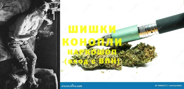 PSILOCYBIN Красноперекопск