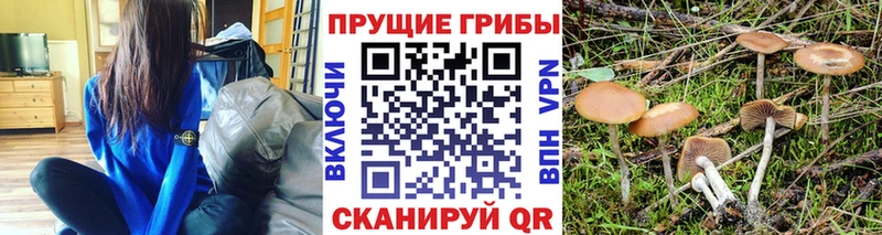 hydra зеркало  Енисейск  Псилоцибиновые грибы Magic Shrooms  купить наркоту 